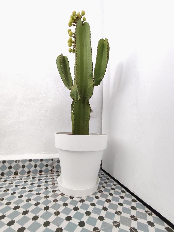 Jimaral Lägenhet Vejer de la Frontera Exteriör bild